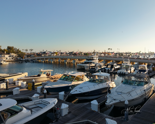 Marina Haven