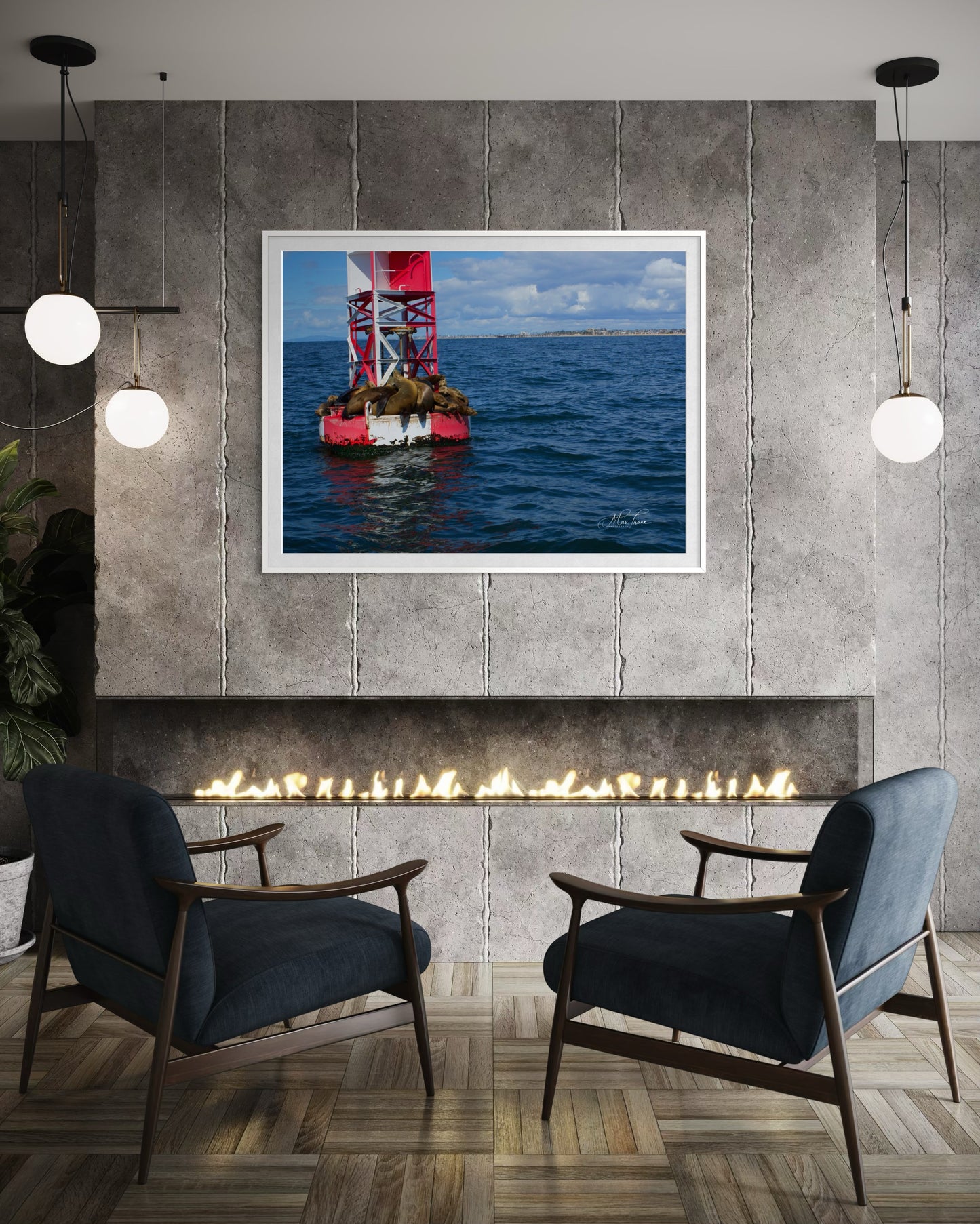 Sea Lions’ Paradise