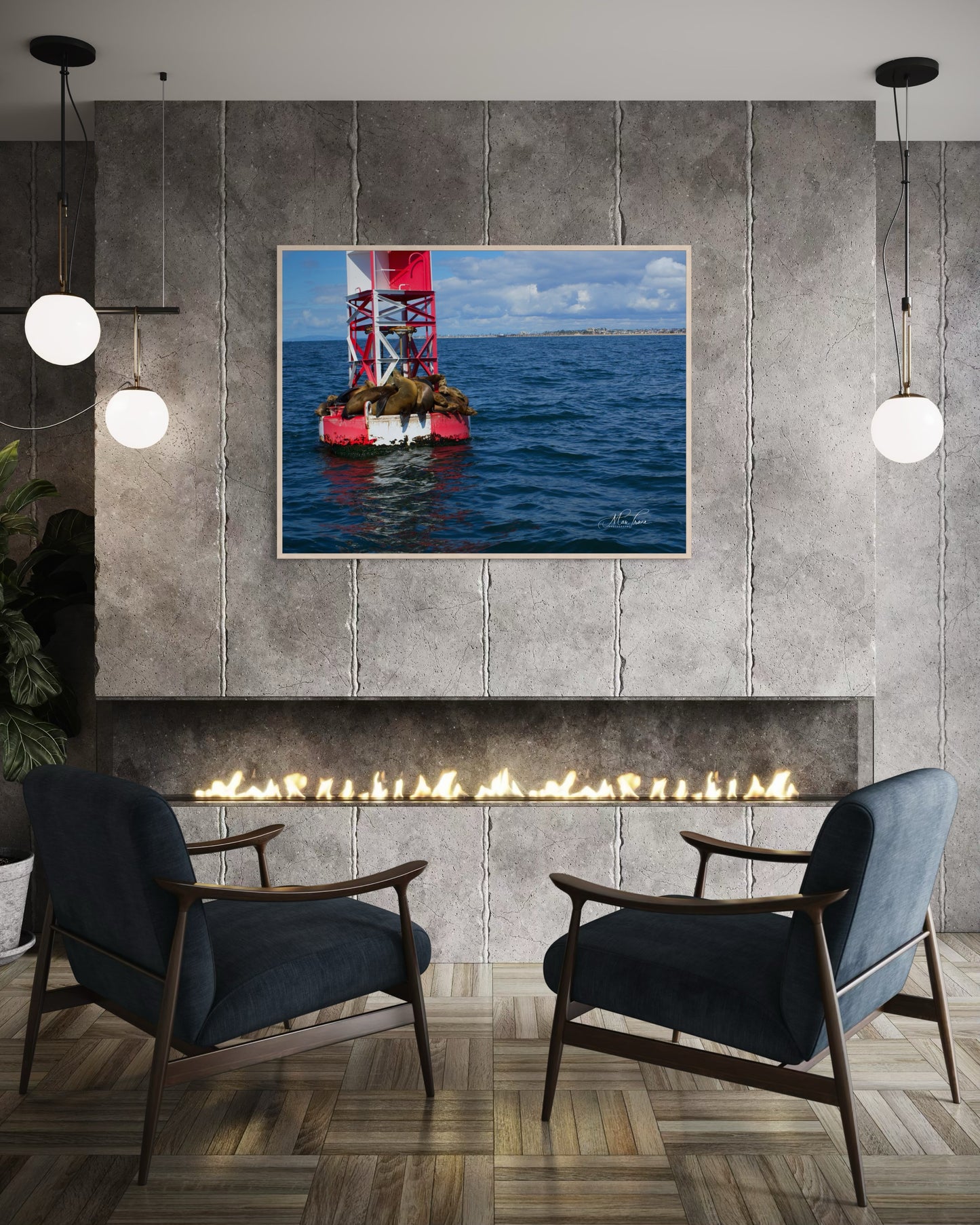 Sea Lions’ Paradise