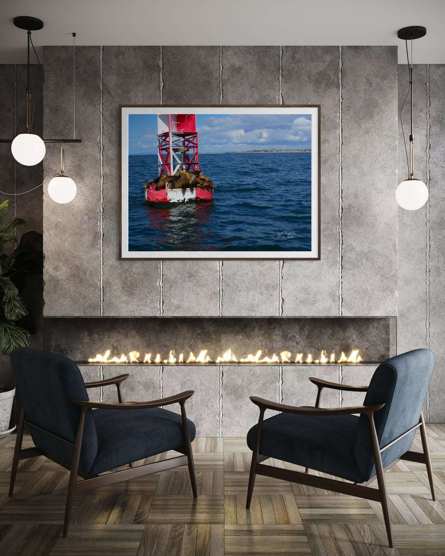 Sea Lions’ Paradise