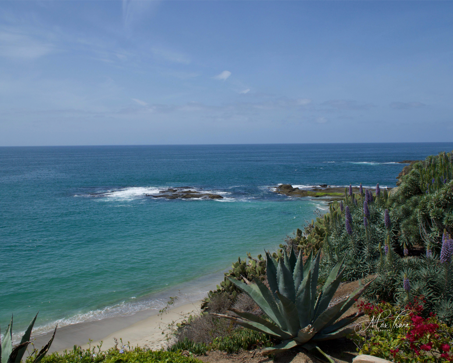 Sea Breeze