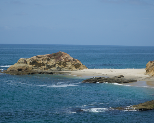 Seashore Escape