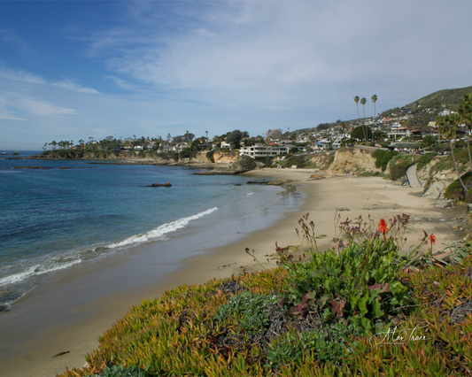 Coastline Vista
