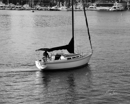 Drifting Through Stillness