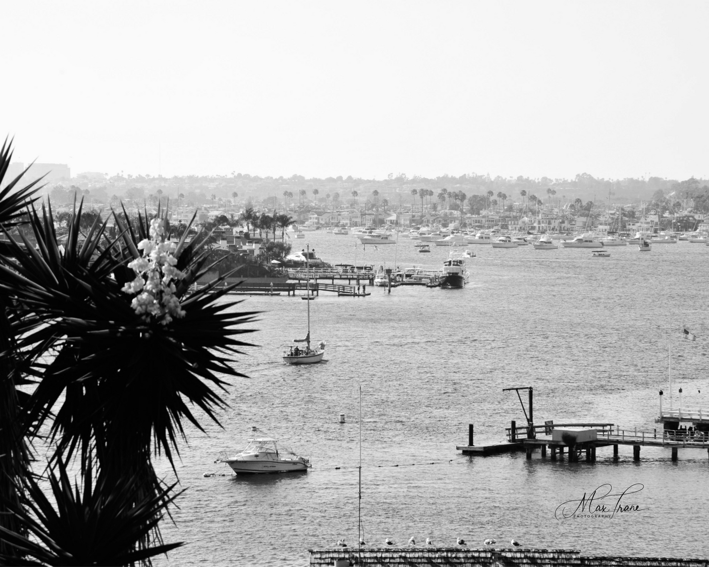 Harbor View