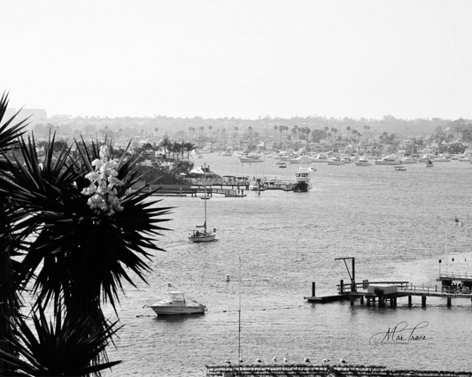 Harbor View