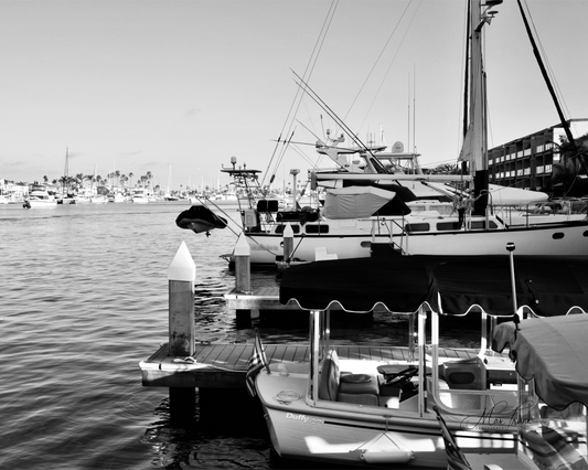 Harbor Lines