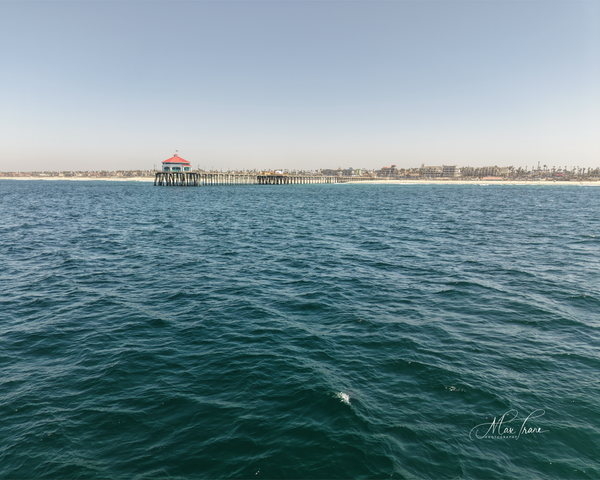 Seascape View