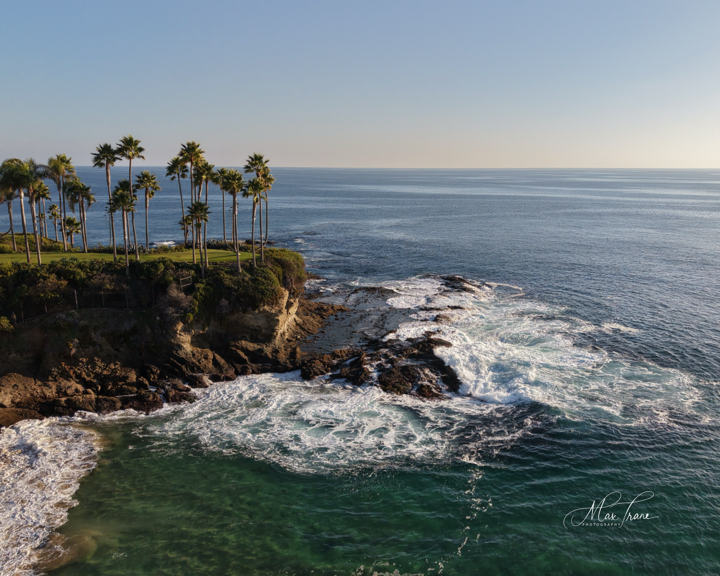 Palm Paradise
